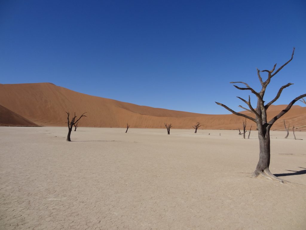 Sossusvlei, désert du Namib, Namibie
