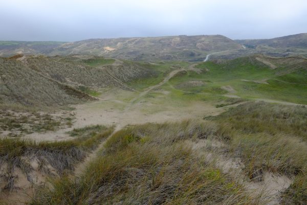 Les dunes de Biville, un ancien terrain militaire désaffecté aujourd'hui accessible au public