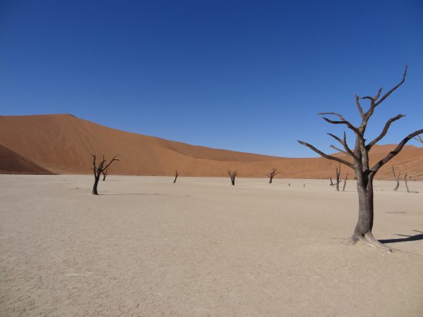 Sossusvlei, un paysage figé dans le temps, Namibie