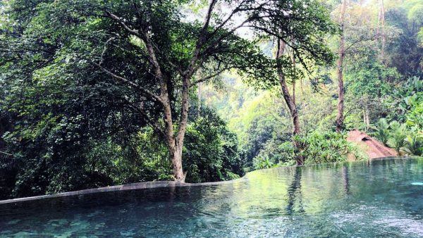 Une piscine à débordement perdu dans la jungle à Ubud