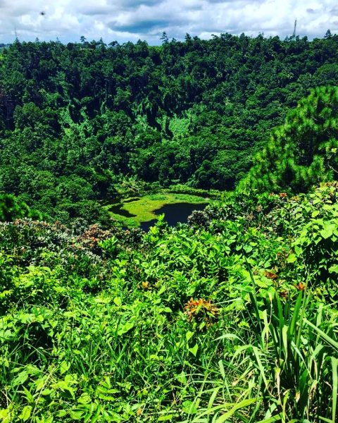 50 nuances de vert à l'île Maurice