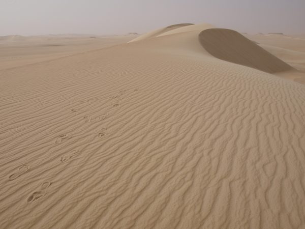 A la rencontre avec le désert en Egypte