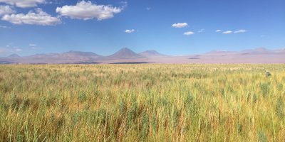 Atacama, Quelque part dans le nord du Chili