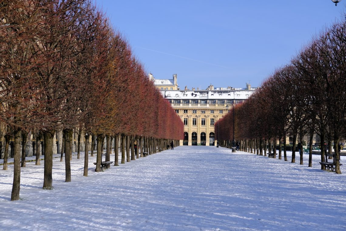 Dans les allées du jardin du Palais royal le 10 février 2021