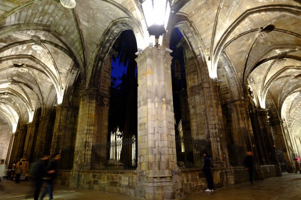 Le cloître de la cathédrale Sainte Croix de Barcelone