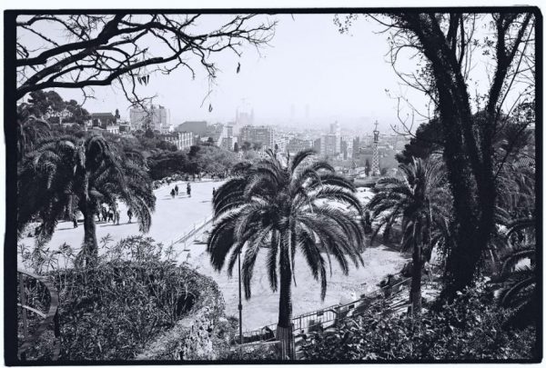 Un parc, un palmier et beaucoup de soleil, la martingale barcelonaise