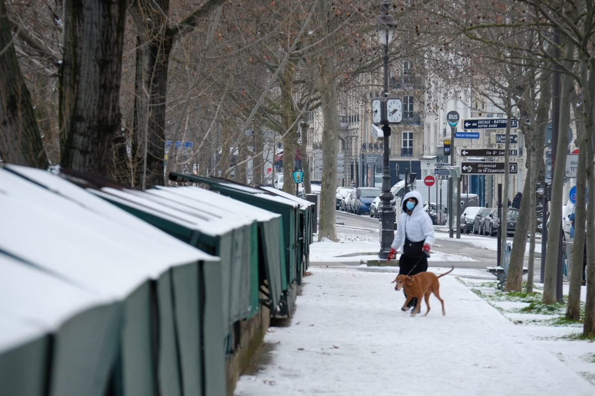 Une parisienne et son chien sur les quais de Seine
