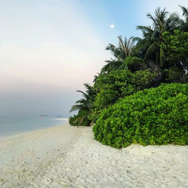 Une fin de journée paisible lors d'une escale de rêve Maldives