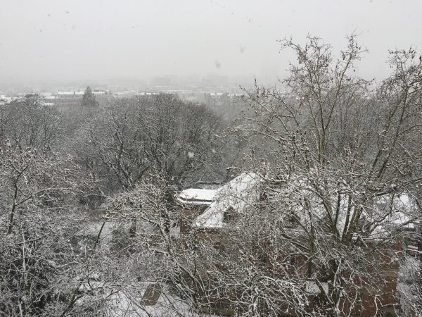 Le Parc des buttes Chaumont sous la neige