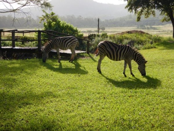 Le paisible Swaziland, l'un des plus petits pays d'Afrique