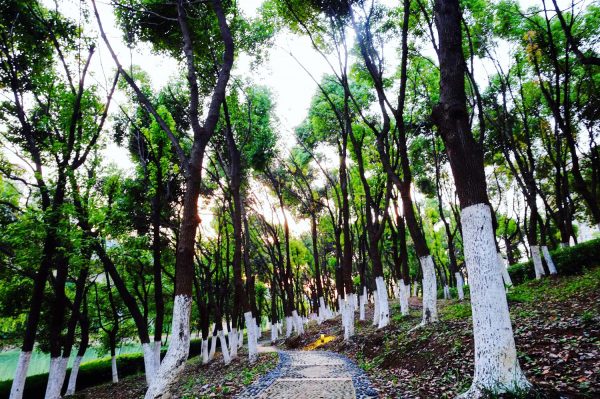 Un espace vert à Hefei, pour reprendre contact avec la nature