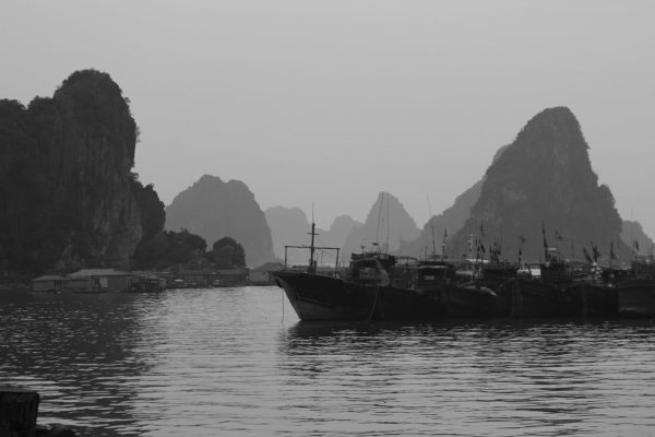 Voyage au cœur de la baie d'Halong, la plus belle baie du monde