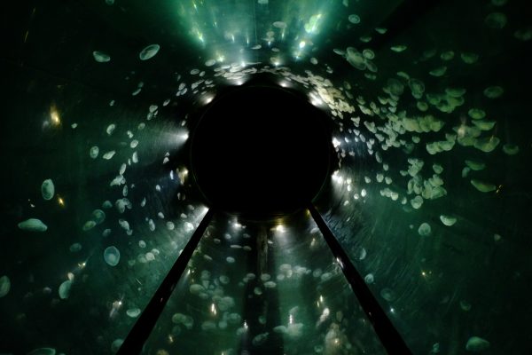 L'entrée vers le monde sous-marin de l'Aquarium de la Rochelle