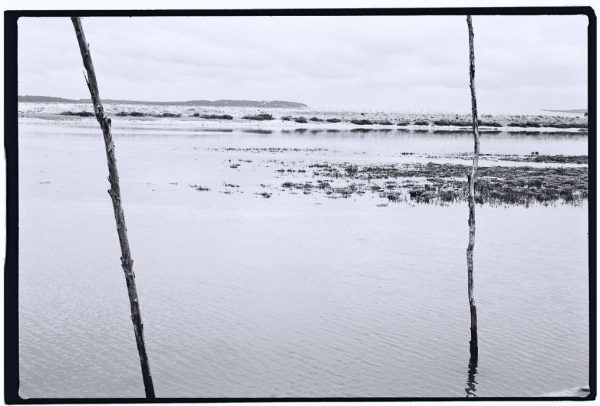 Le grand retour de l'argentique. Reflets autour du Mimbeau, bassin d'Arcachon