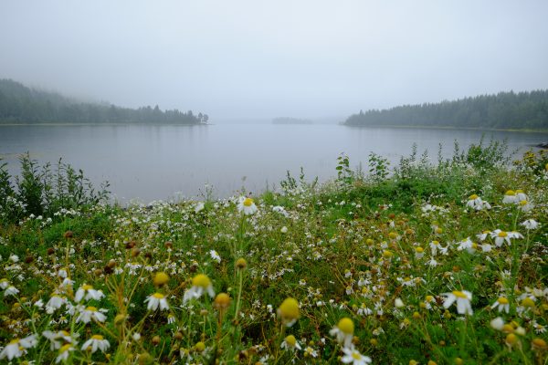 Un lac trouvé en cours de route lors d'un road trip en Suède