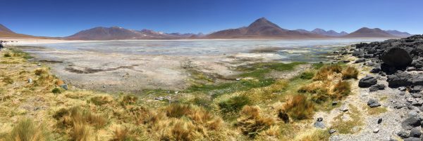 la laguna blanca dans le sud de la Bolivie