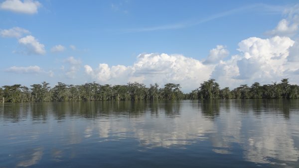 Louisiane l'un des états des Etats-Unis