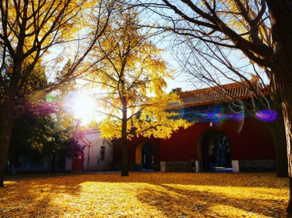 Zongshan en automne est un lieu magique