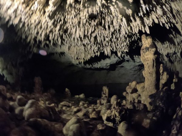 Des stalactites dans les rivières  souterraines du Quintana Roo