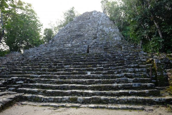 Cobà au Mexique