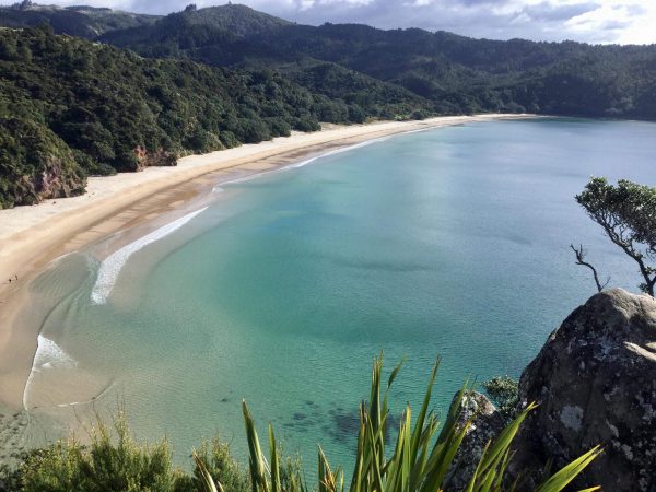 Une plage dans le nord de la Nouvelle-Zélande