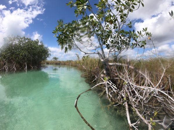 L'eau turquoise des lagunes du Mexique