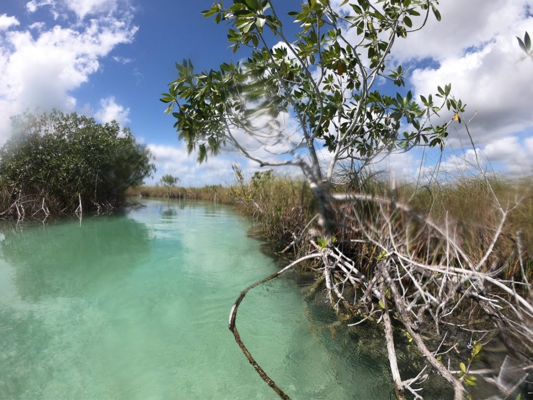 L'eau turquoise des lagunes du Mexique