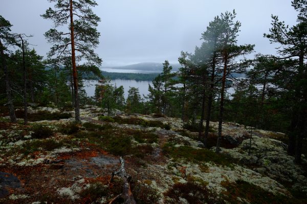 La Suède des lacs et de la brume