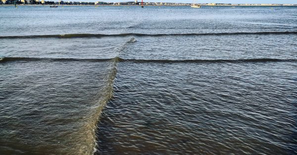 Des vagues carrées sans danger