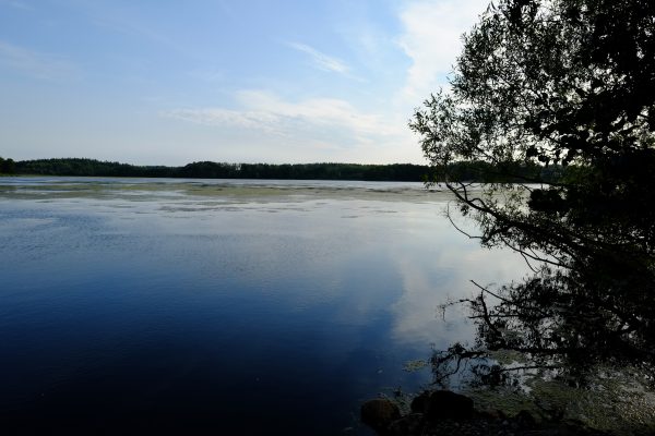 A nice lake near the swedish capital