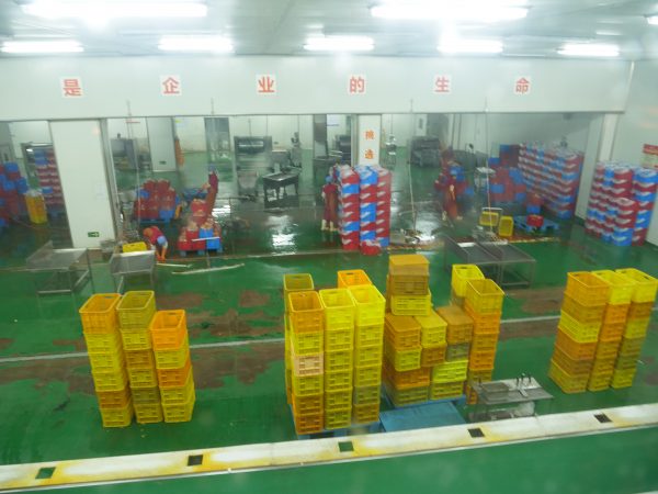 Une fabrique aseptisée dans le nord-est de la Chine