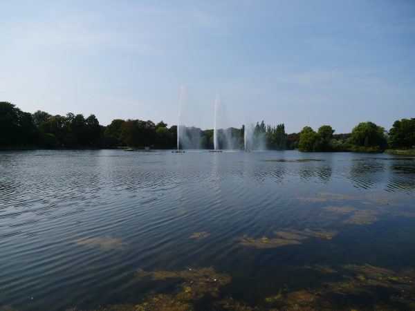 Visiter les parcs de Malmö une activité incontournable à faire