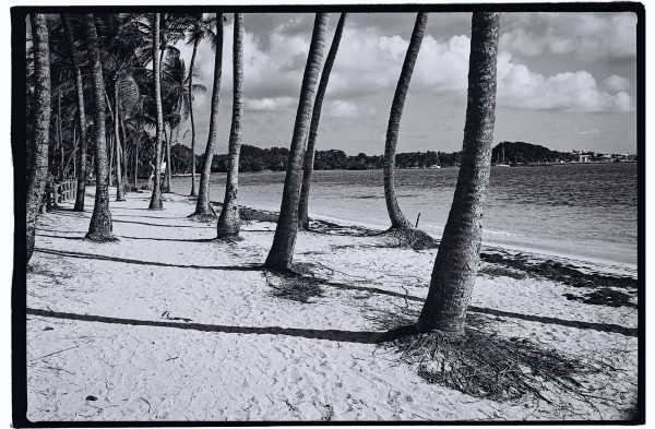 L'une des plus belles plages de Guadeloupe