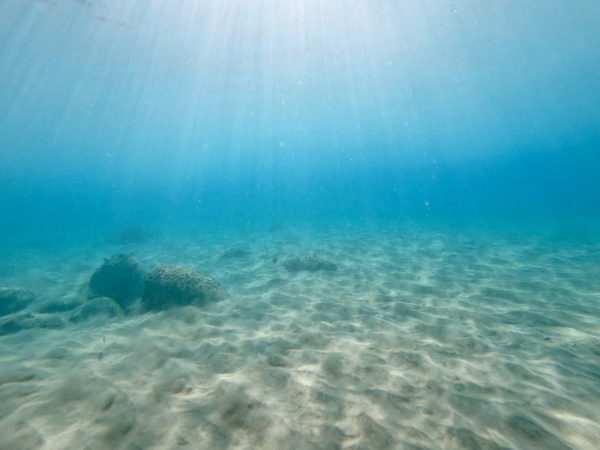 Plonger dans la mer des Caraïbes, l'une des choses à faire en Guadeloupe