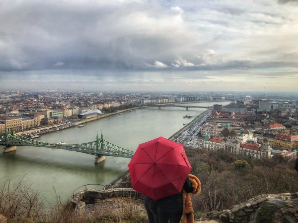 Sur la colline Gellért la vue sur le Danube et Budapest