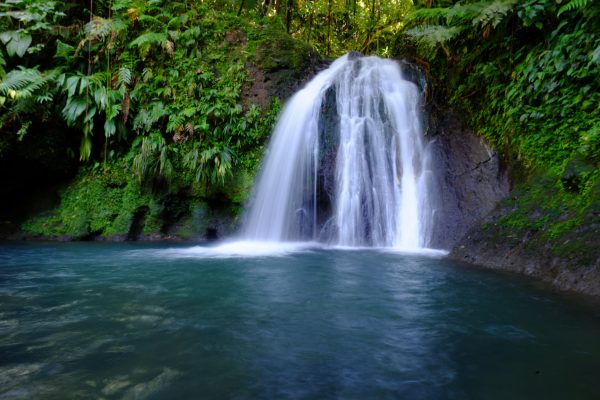 Une cascade en Guadeloupe