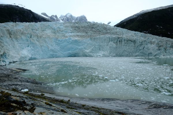 Le glacier Pia au bord du fjord Garibaldi en Patagonie