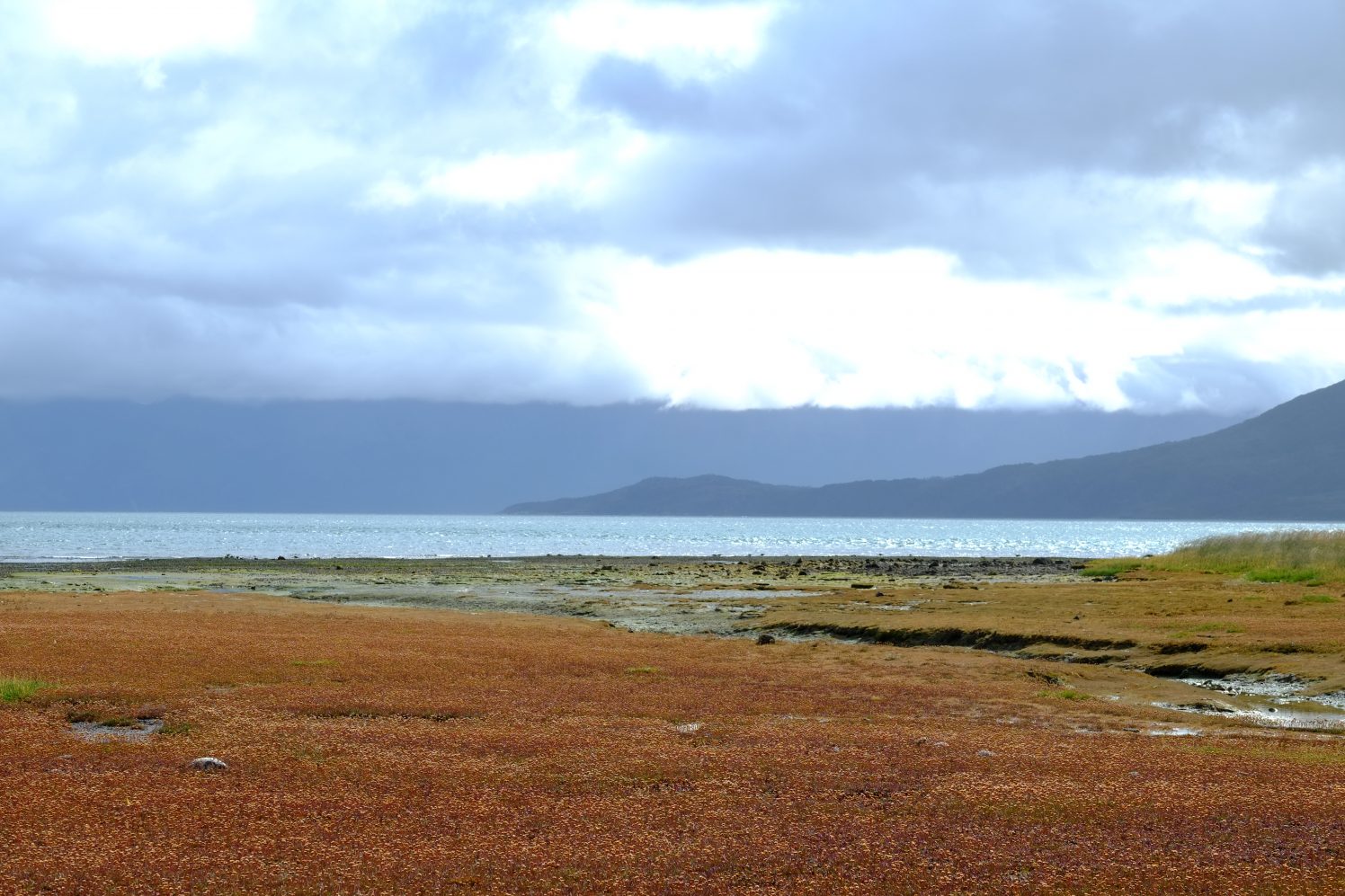 The Tierra del Fuego at Ainsworth Bay in Chile