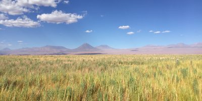 Altiplano et les Andes dans les lointains