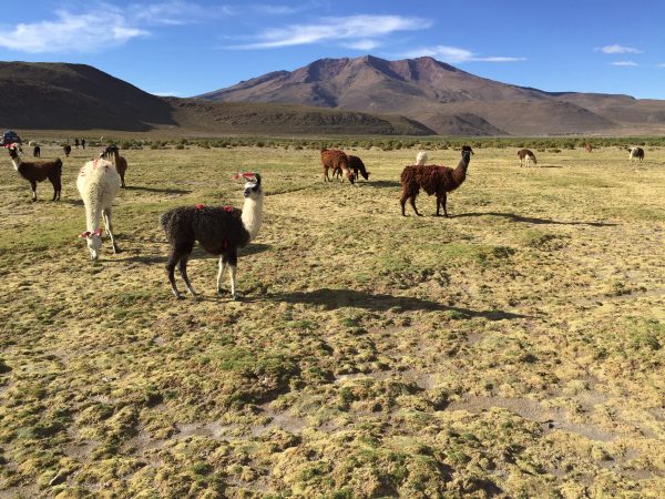 La Bolivie, le pays le plus pauvre d'un continent