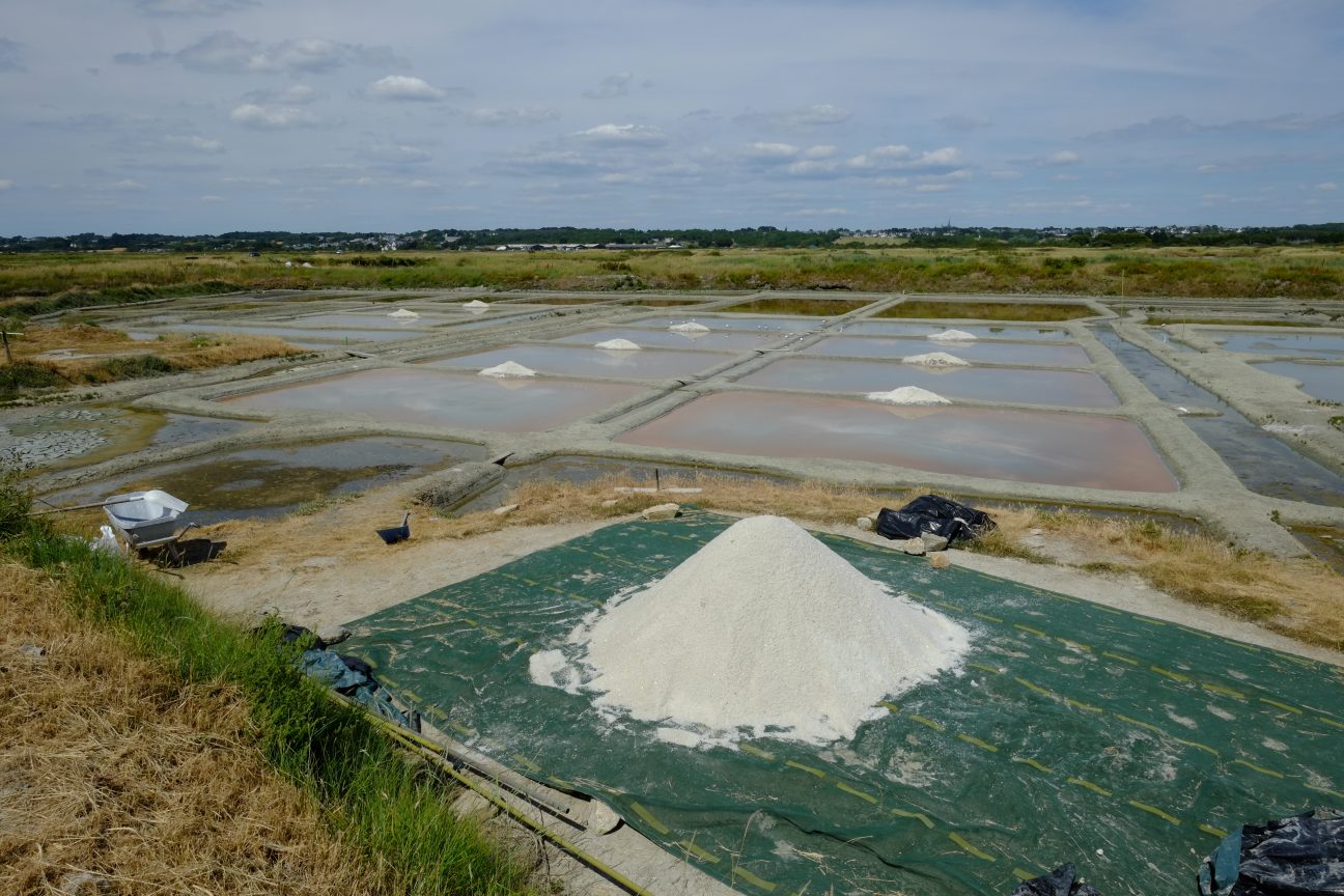 La récolte du sel de Guérande pendant les mois d'été