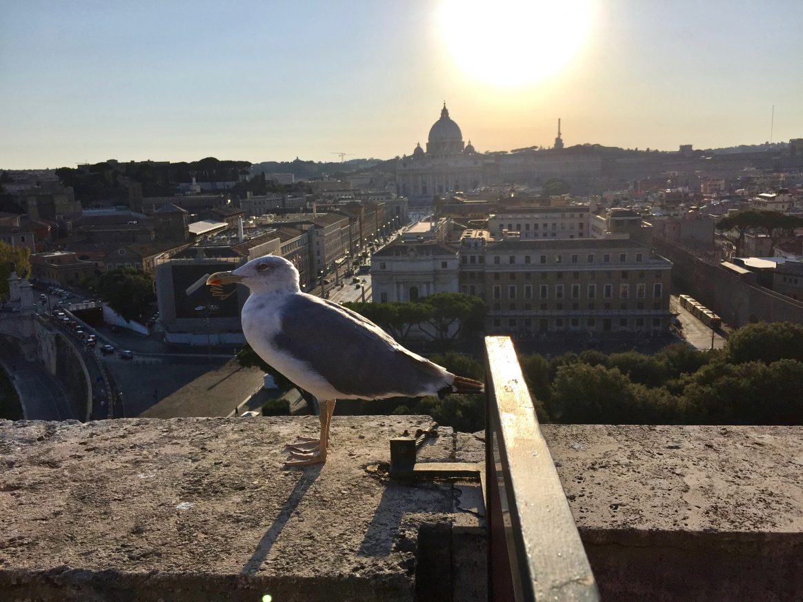 La vue depuis le château Saint-Ange, l'une des plus belles vues sur Rome