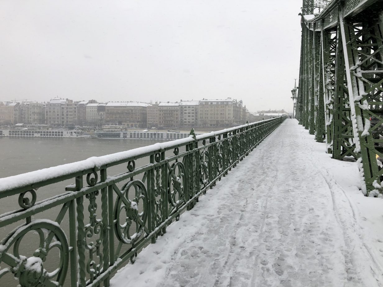 La vue sur la rive gauche de Budapest depuis le pont de la Liberté