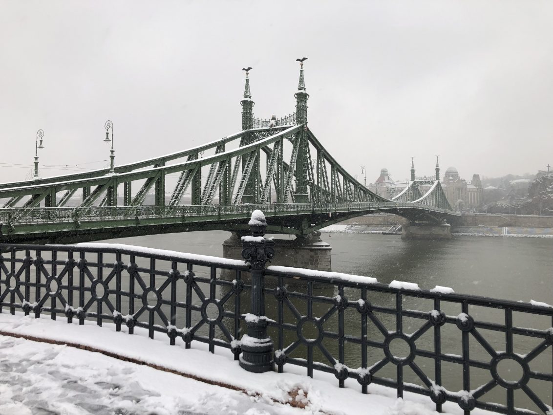 Le pont de la Liberté de Budapest. photo Yann Vernerie