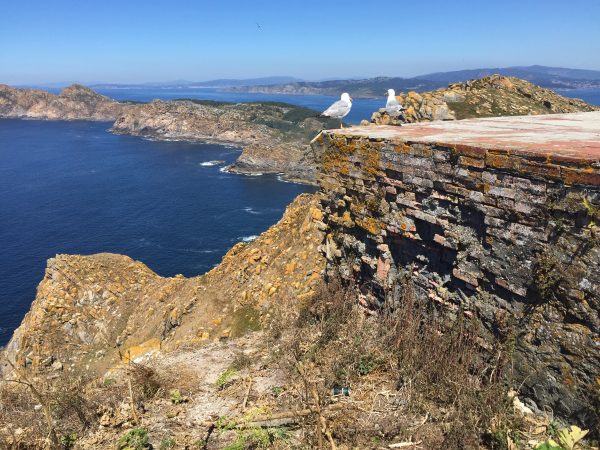 Une vue depuis le sommet de l'île de Montefaro, sur l'archipel des Cies