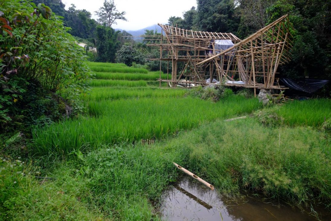 La construction d'une hutte en bambou à Doi Inthanon