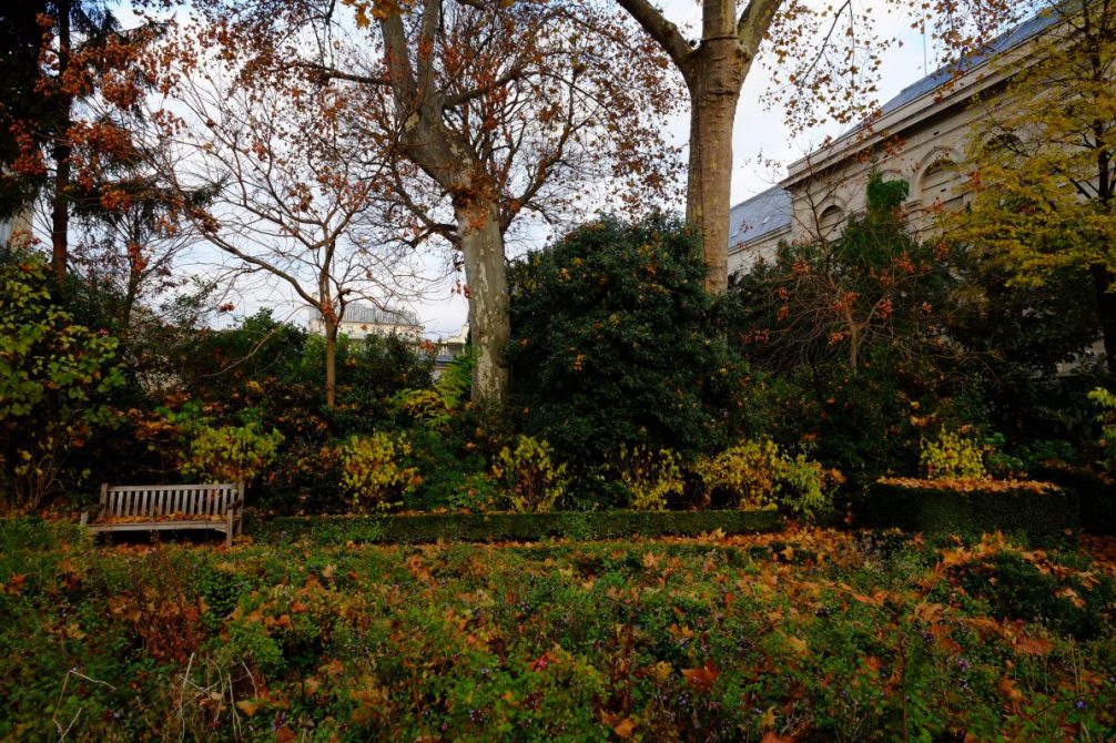 Le jardin planqué de l'hôtel de Soubise
