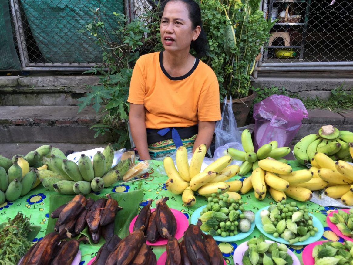 Sur les marchés du nord de la Thaïlande (Nan)