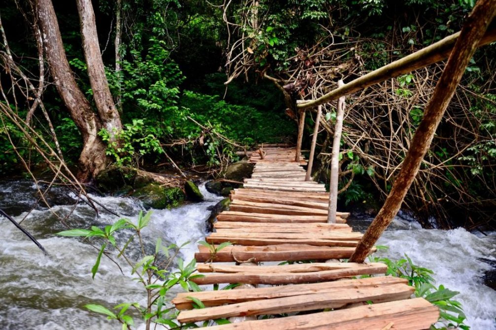 Un petit pont de bois permettant de relier les rizières à la forêt