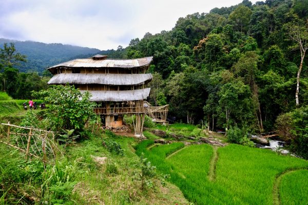 Une cabane en bambou dans le parc national de Doi Inthanon